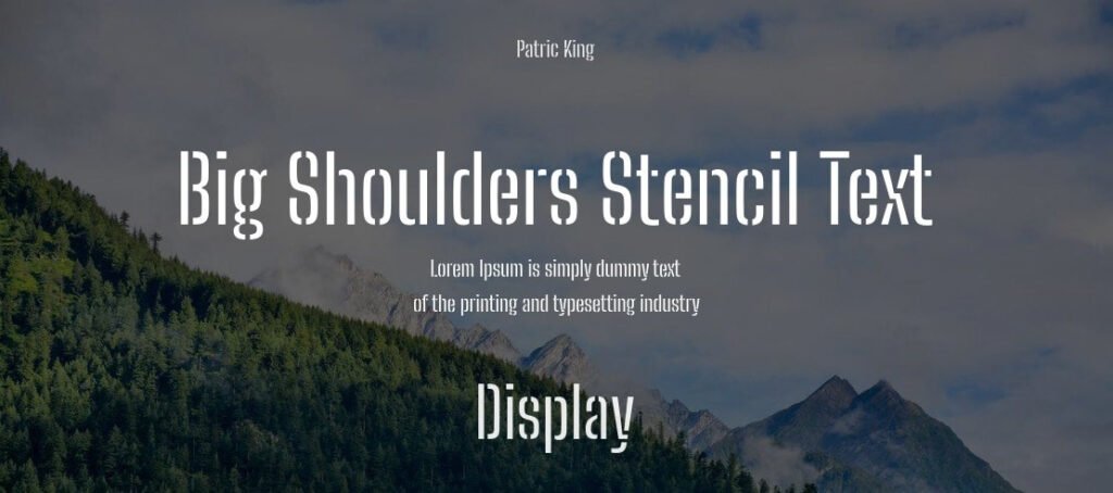 Big Shoulders Font Family